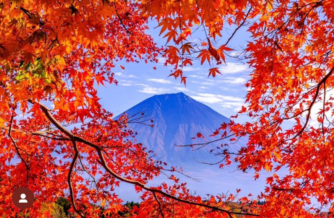 후지 Eishinan 栄進庵 게스트하우스 외부 사진
